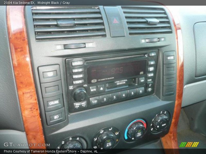 Midnight Black / Gray 2004 Kia Sedona EX