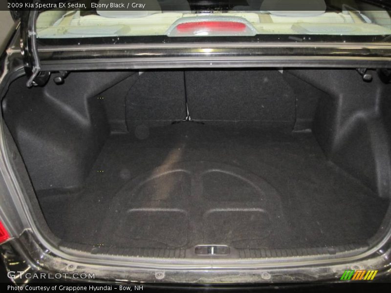 Ebony Black / Gray 2009 Kia Spectra EX Sedan