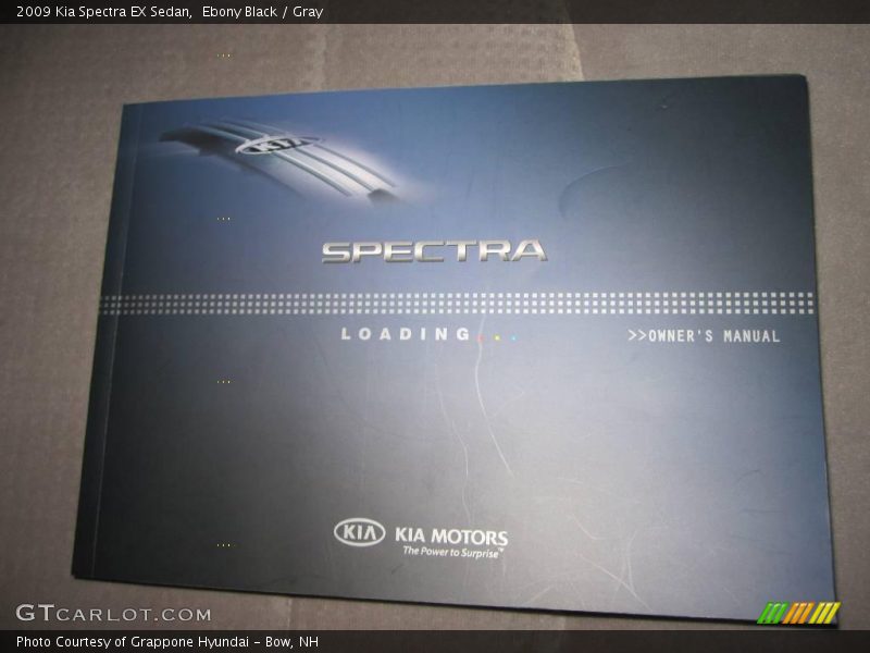 Ebony Black / Gray 2009 Kia Spectra EX Sedan