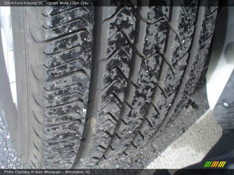 Vibrant White / Flint Grey 2004 Ford Freestar SE