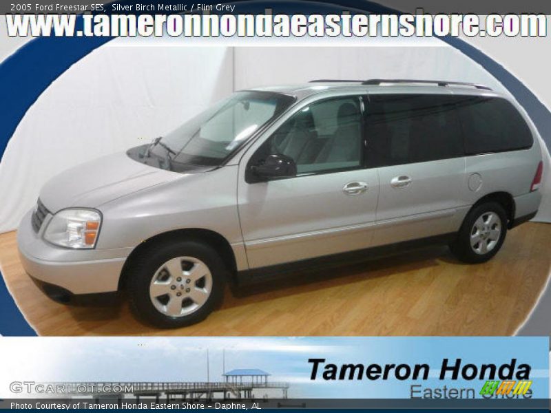 Silver Birch Metallic / Flint Grey 2005 Ford Freestar SES