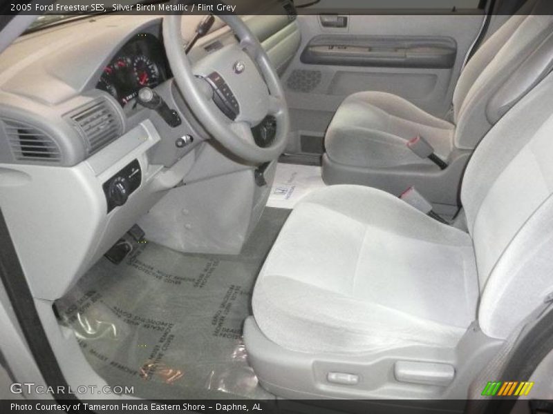 Silver Birch Metallic / Flint Grey 2005 Ford Freestar SES