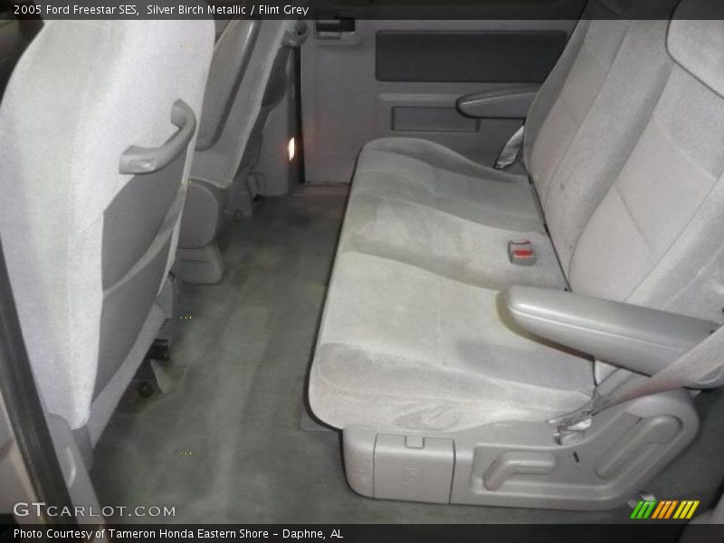 Silver Birch Metallic / Flint Grey 2005 Ford Freestar SES
