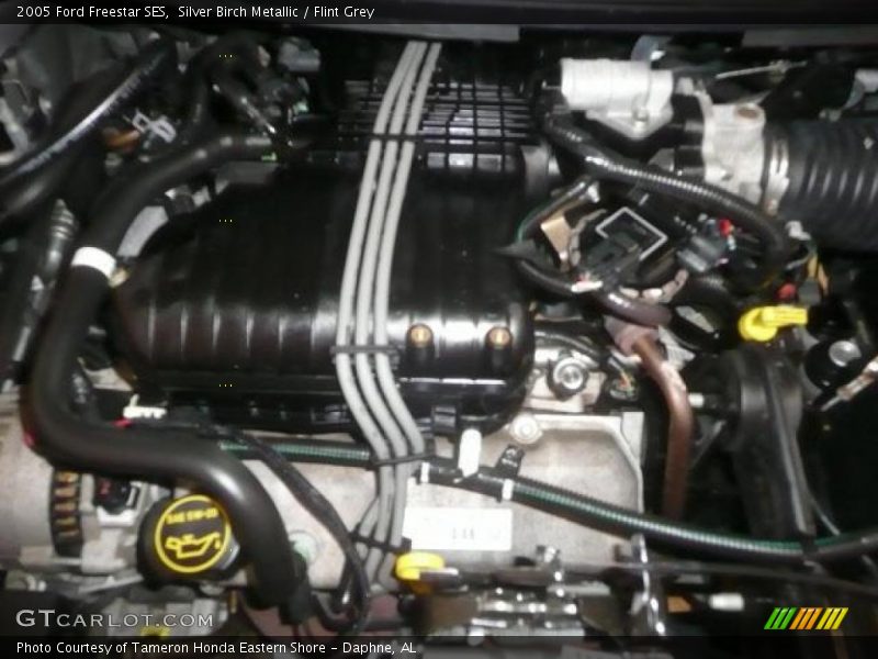 Silver Birch Metallic / Flint Grey 2005 Ford Freestar SES