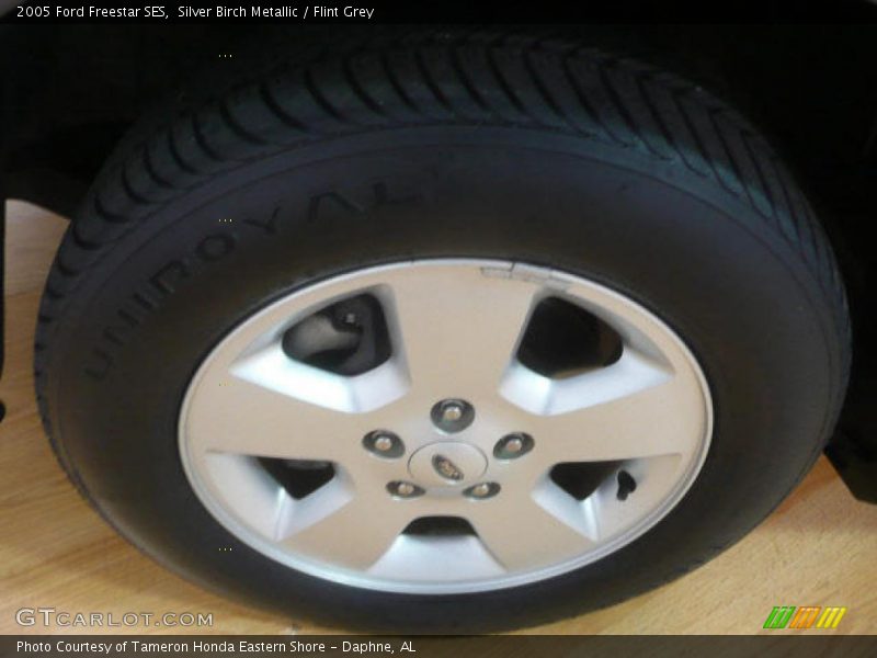Silver Birch Metallic / Flint Grey 2005 Ford Freestar SES