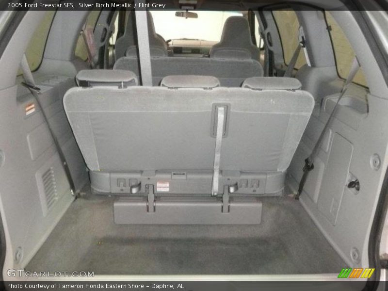 Silver Birch Metallic / Flint Grey 2005 Ford Freestar SES