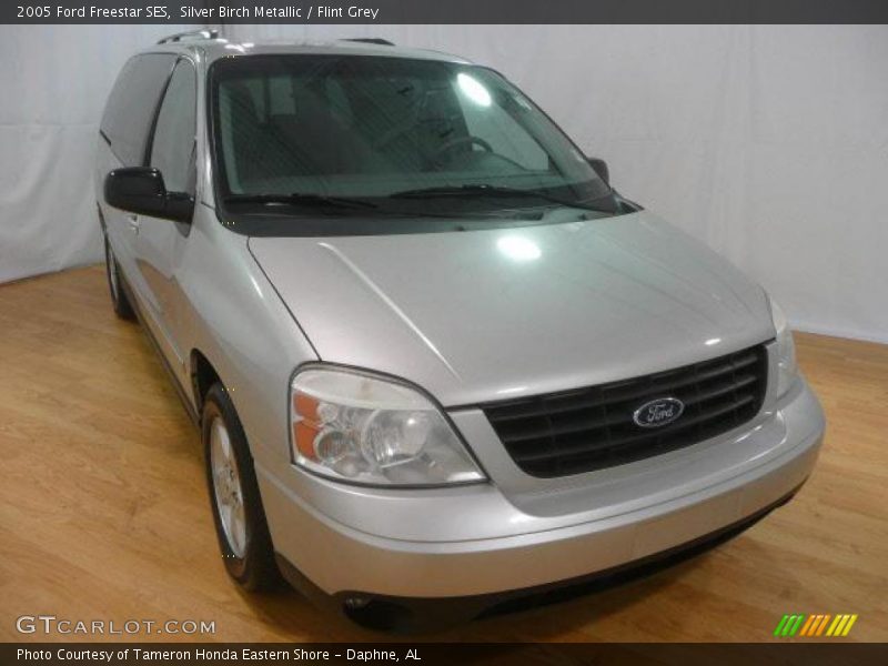 Silver Birch Metallic / Flint Grey 2005 Ford Freestar SES