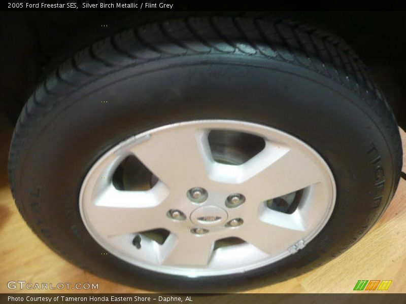 Silver Birch Metallic / Flint Grey 2005 Ford Freestar SES