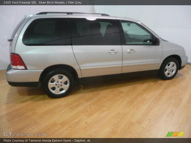 Silver Birch Metallic / Flint Grey 2005 Ford Freestar SES