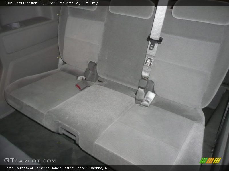 Silver Birch Metallic / Flint Grey 2005 Ford Freestar SES