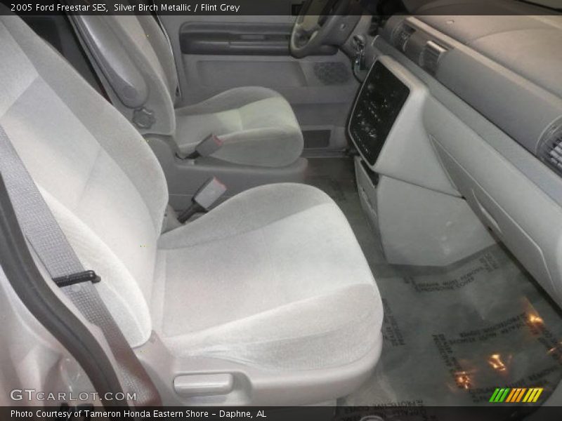 Silver Birch Metallic / Flint Grey 2005 Ford Freestar SES