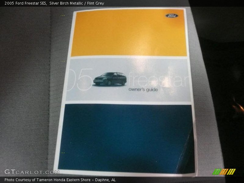 Silver Birch Metallic / Flint Grey 2005 Ford Freestar SES