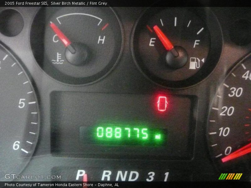 Silver Birch Metallic / Flint Grey 2005 Ford Freestar SES