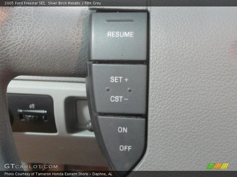 Silver Birch Metallic / Flint Grey 2005 Ford Freestar SES