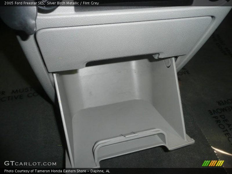Silver Birch Metallic / Flint Grey 2005 Ford Freestar SES