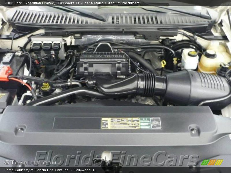 Cashmere Tri-Coat Metallic / Medium Parchment 2006 Ford Expedition Limited
