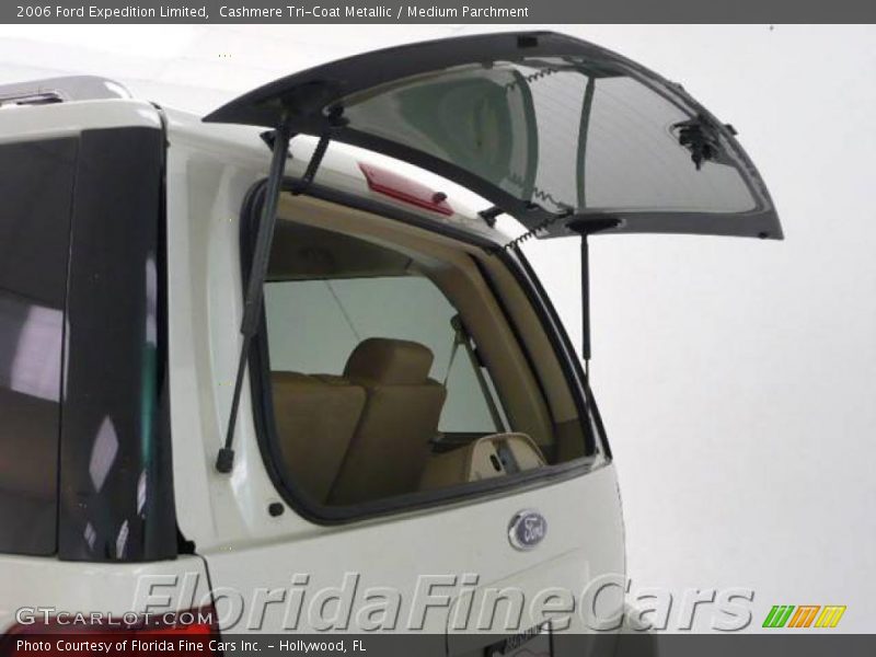 Cashmere Tri-Coat Metallic / Medium Parchment 2006 Ford Expedition Limited