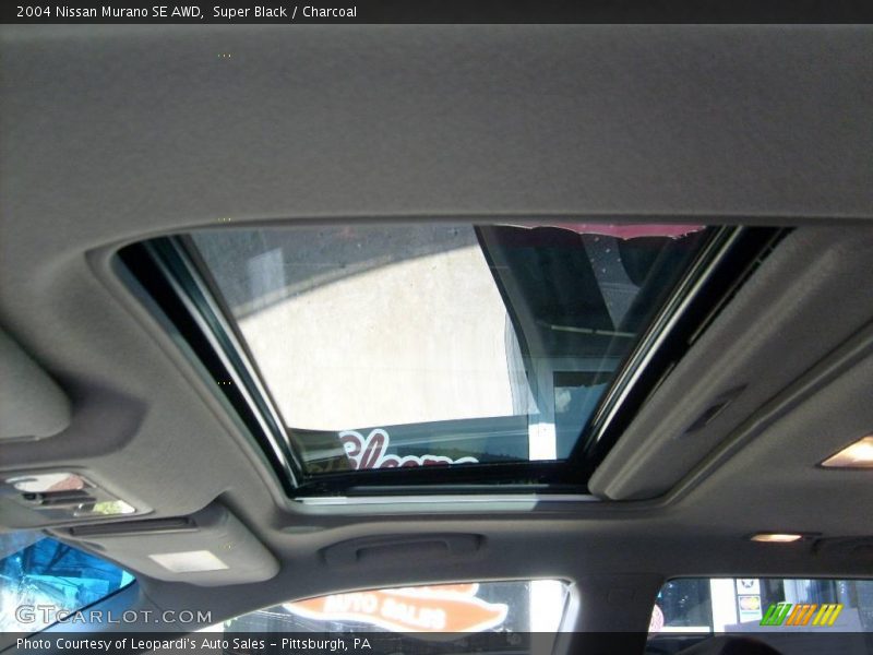 Super Black / Charcoal 2004 Nissan Murano SE AWD