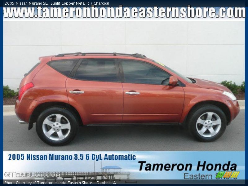 Sunlit Copper Metallic / Charcoal 2005 Nissan Murano SL