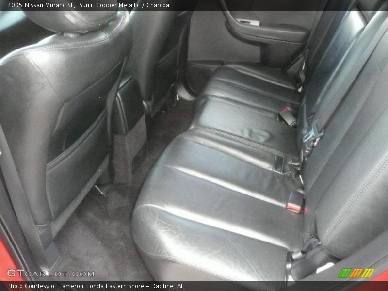 Sunlit Copper Metallic / Charcoal 2005 Nissan Murano SL
