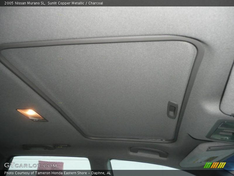 Sunlit Copper Metallic / Charcoal 2005 Nissan Murano SL
