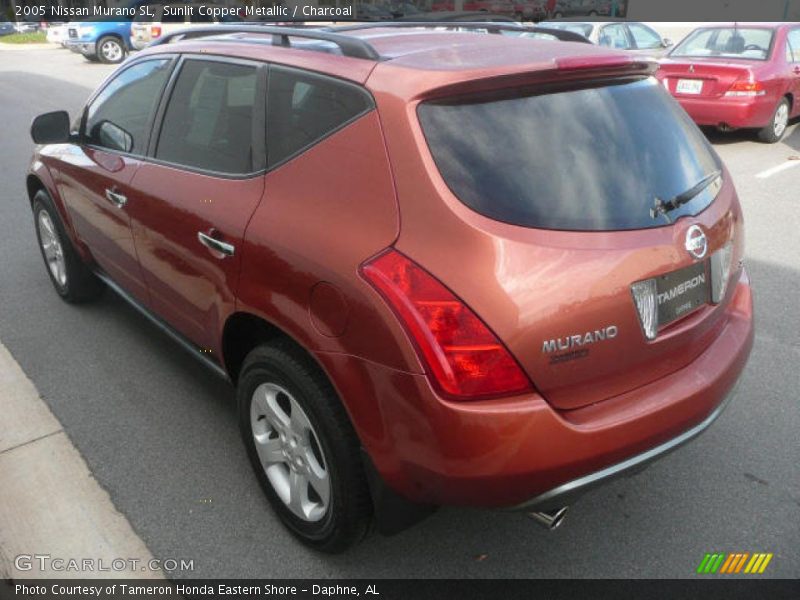 Sunlit Copper Metallic / Charcoal 2005 Nissan Murano SL