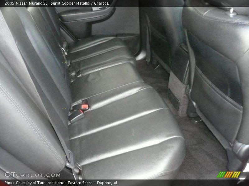 Sunlit Copper Metallic / Charcoal 2005 Nissan Murano SL