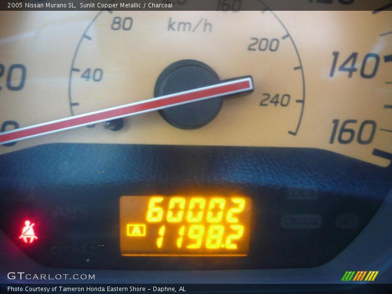 Sunlit Copper Metallic / Charcoal 2005 Nissan Murano SL