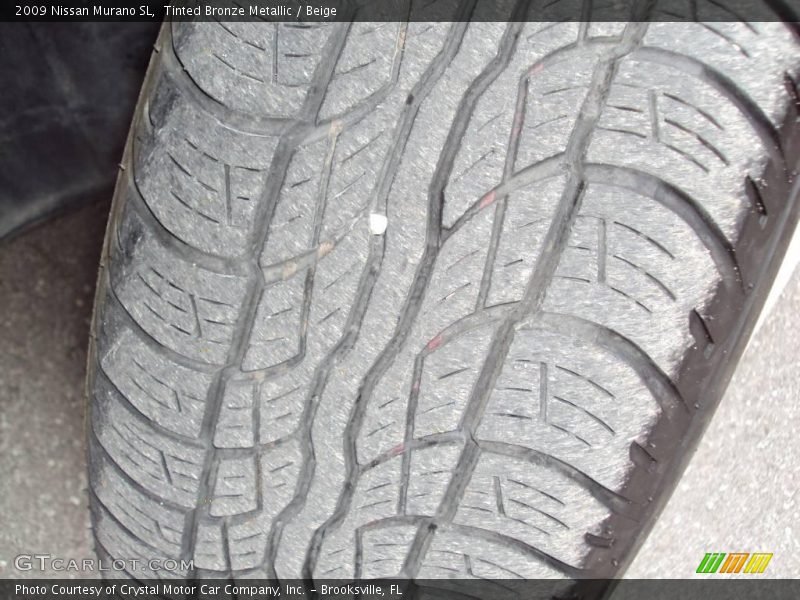 Tinted Bronze Metallic / Beige 2009 Nissan Murano SL