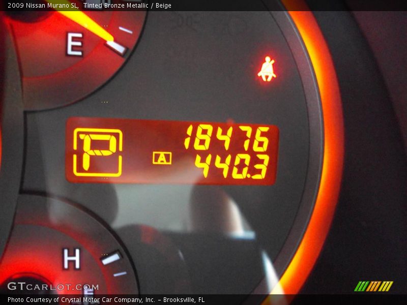 Tinted Bronze Metallic / Beige 2009 Nissan Murano SL