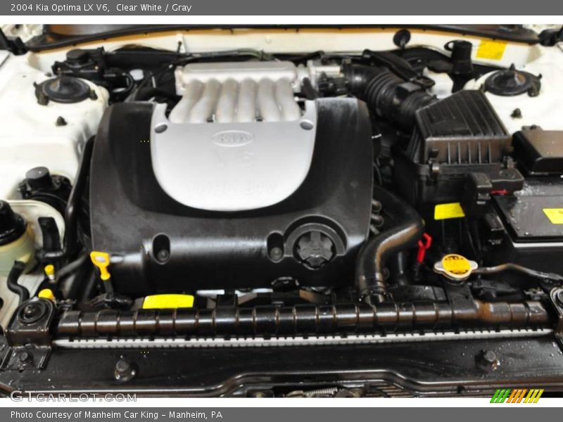 Clear White / Gray 2004 Kia Optima LX V6