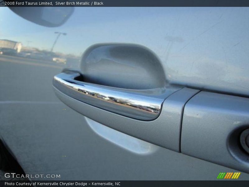Silver Birch Metallic / Black 2008 Ford Taurus Limited