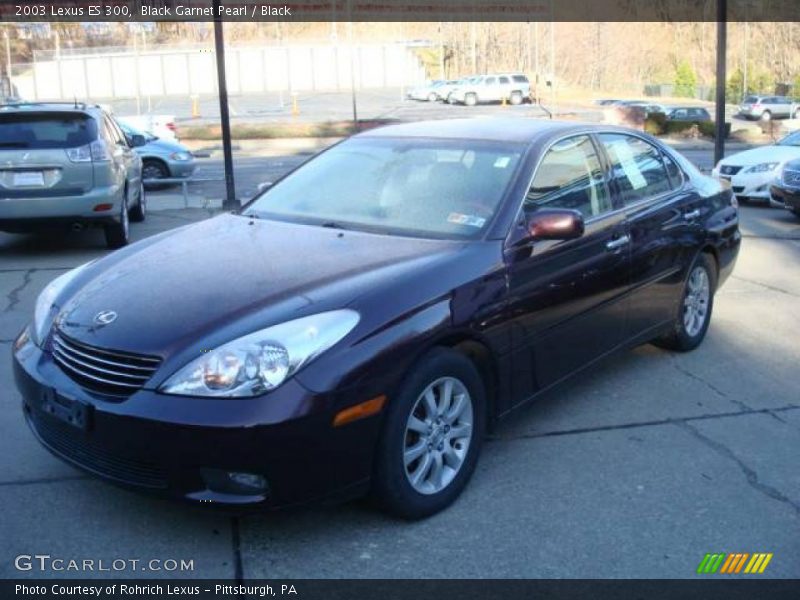 Black Garnet Pearl / Black 2003 Lexus ES 300