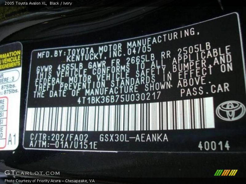 Black / Ivory 2005 Toyota Avalon XL