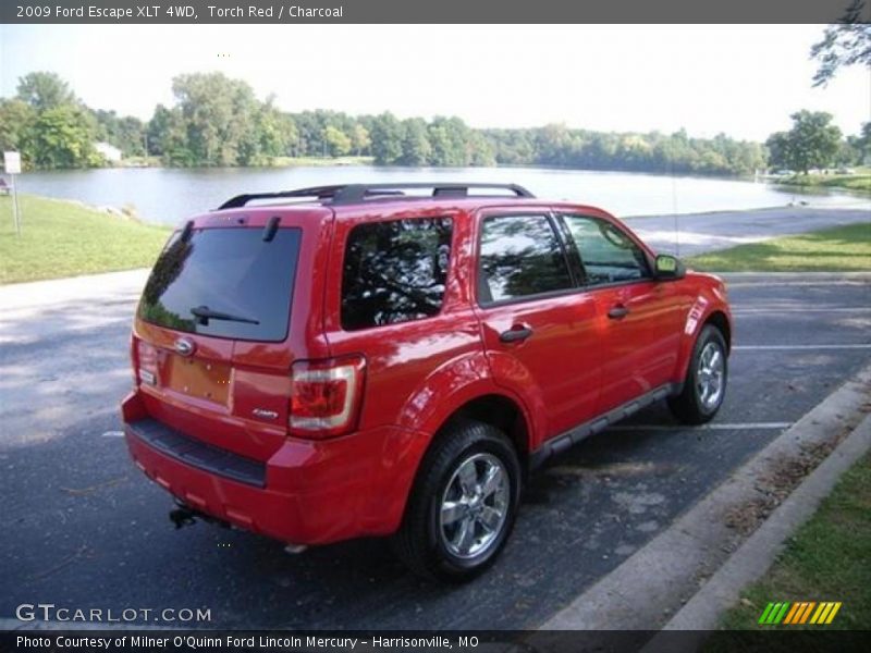 Torch Red / Charcoal 2009 Ford Escape XLT 4WD