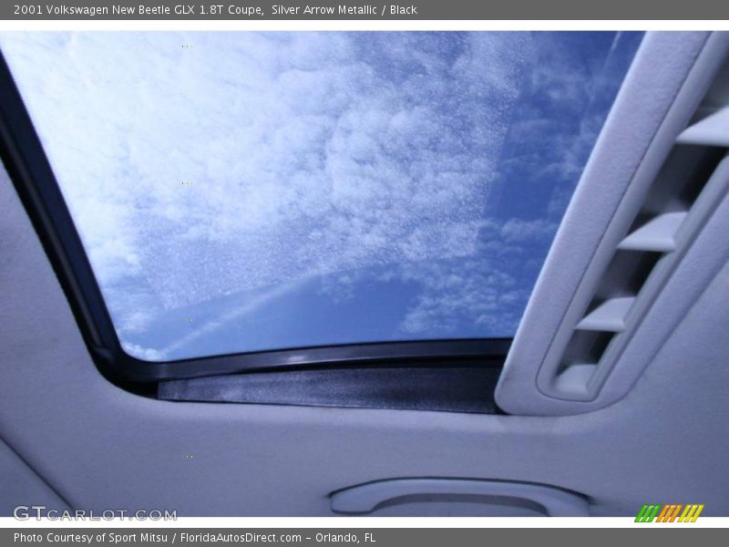 Silver Arrow Metallic / Black 2001 Volkswagen New Beetle GLX 1.8T Coupe