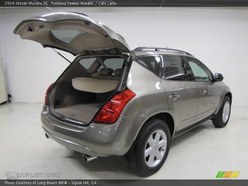 Polished Pewter Metallic / Cafe Latte 2004 Nissan Murano SE