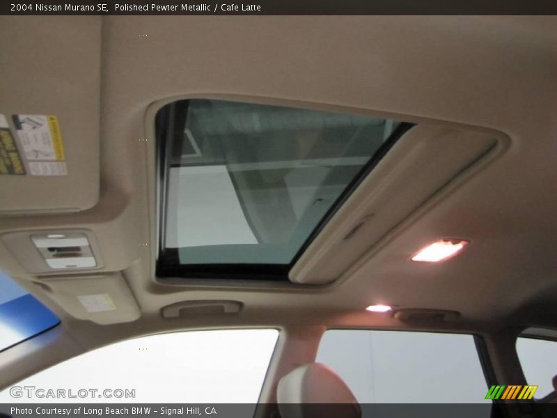 Polished Pewter Metallic / Cafe Latte 2004 Nissan Murano SE