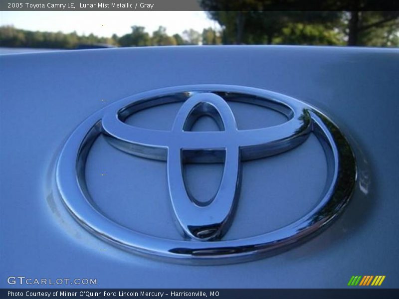 Lunar Mist Metallic / Gray 2005 Toyota Camry LE