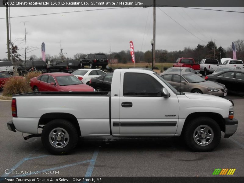 Summit White / Medium Gray 2002 Chevrolet Silverado 1500 LS Regular Cab
