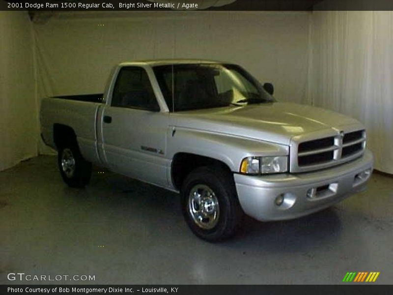 Bright Silver Metallic / Agate 2001 Dodge Ram 1500 Regular Cab
