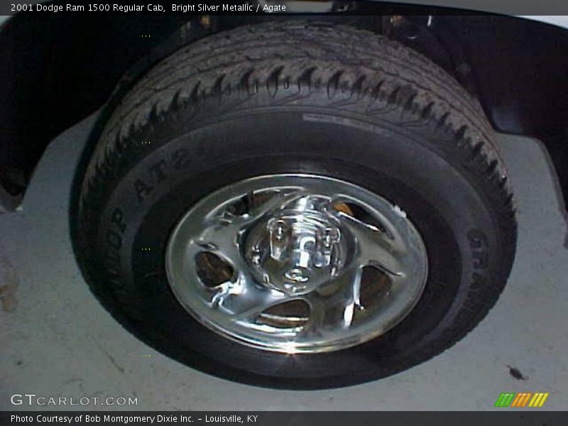 Bright Silver Metallic / Agate 2001 Dodge Ram 1500 Regular Cab