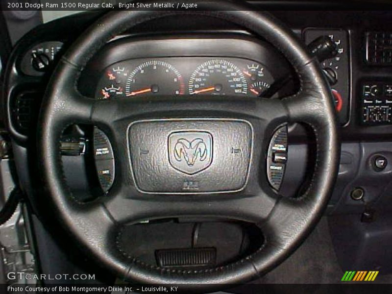 Bright Silver Metallic / Agate 2001 Dodge Ram 1500 Regular Cab