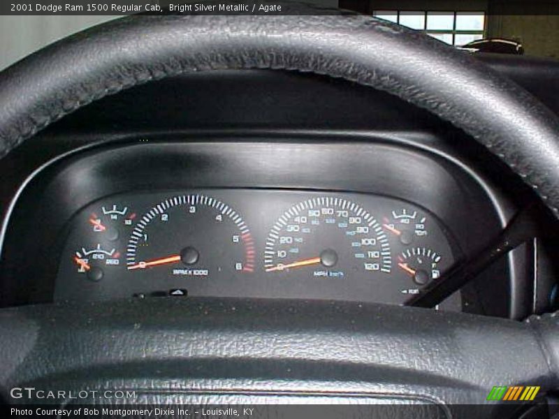 Bright Silver Metallic / Agate 2001 Dodge Ram 1500 Regular Cab