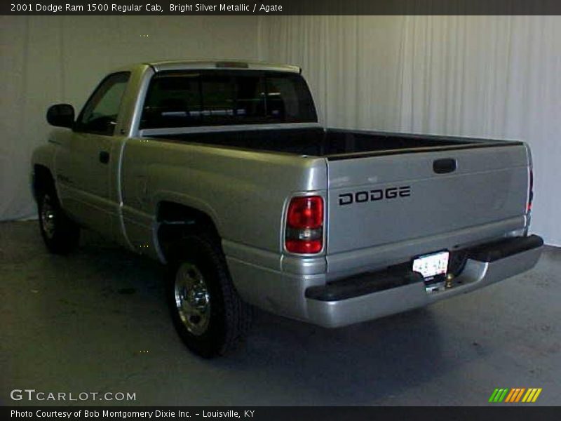 Bright Silver Metallic / Agate 2001 Dodge Ram 1500 Regular Cab