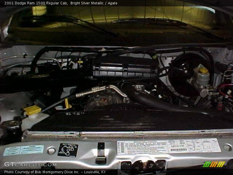 Bright Silver Metallic / Agate 2001 Dodge Ram 1500 Regular Cab