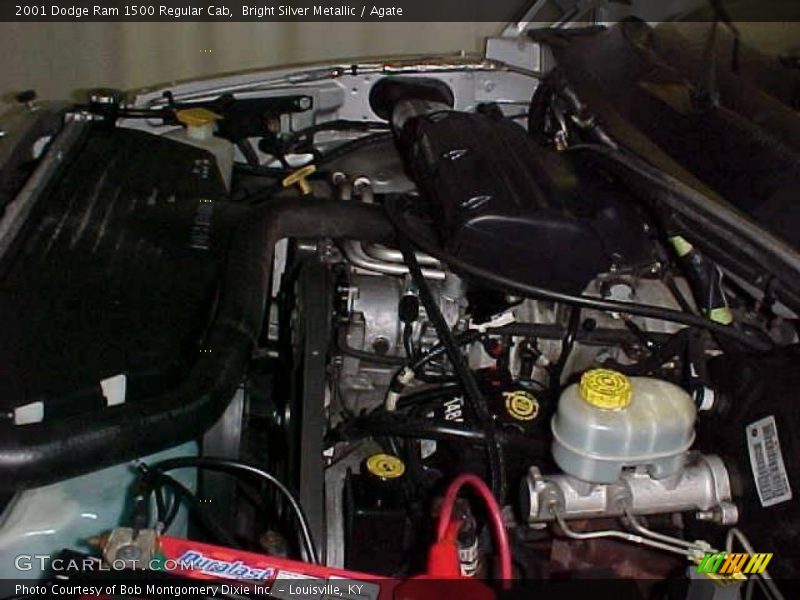 Bright Silver Metallic / Agate 2001 Dodge Ram 1500 Regular Cab
