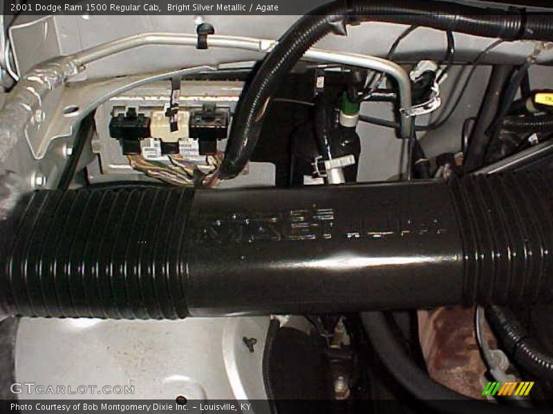 Bright Silver Metallic / Agate 2001 Dodge Ram 1500 Regular Cab