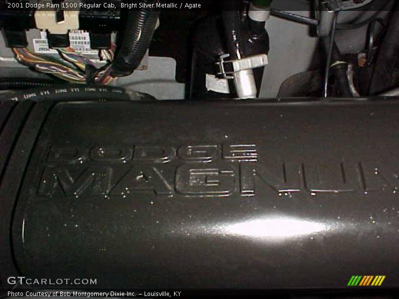 Bright Silver Metallic / Agate 2001 Dodge Ram 1500 Regular Cab