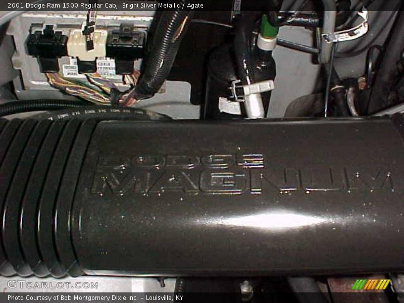 Bright Silver Metallic / Agate 2001 Dodge Ram 1500 Regular Cab